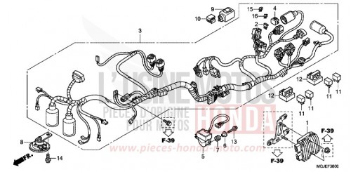 FAISCEAU DES FILS CBF1000FAC de 2012